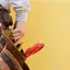 Handyman repair service in Orlando, FL for home fixes and improvements